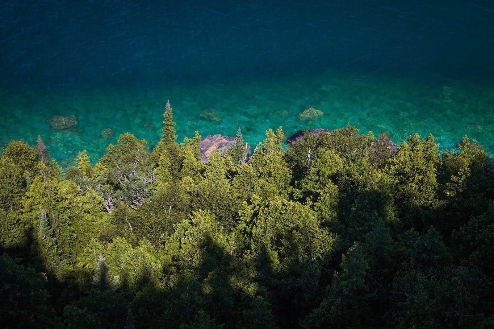 The Bruce Trail